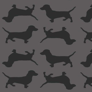 Slate Grey  Doxies on Grey