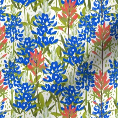 Bluebonnets and Paintbrushes on White