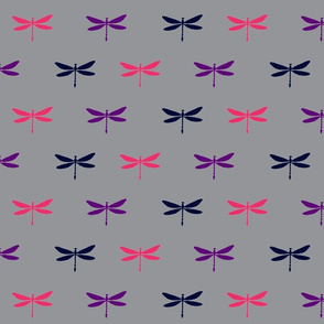 Drangonfly - grey, purple, fuchsia magenta