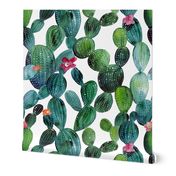 Cactuses green wall large size