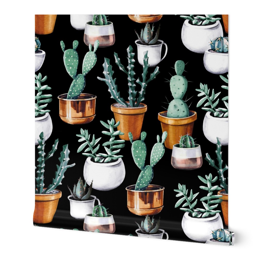 Cactus pots black