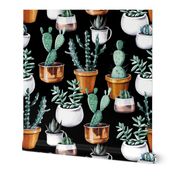 Cactus pots black