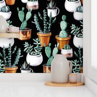 Cactus pots black