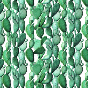 Cactus wall