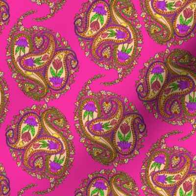 Springtime Floral Paisley on Hot Pink