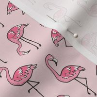 Flamingos in Pink Smaller
