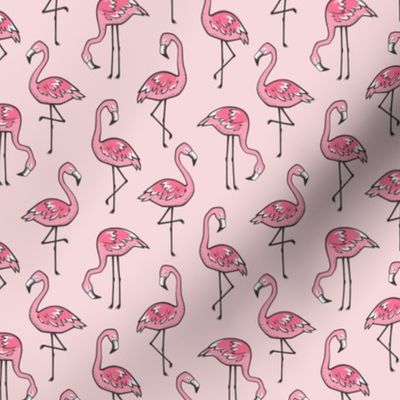Flamingos in Pink Smaller