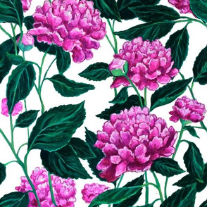 Peony Pattern