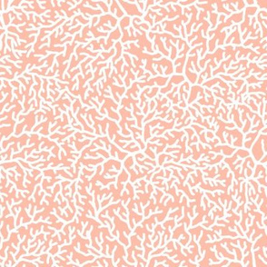 CORAL, White on Coral Pink