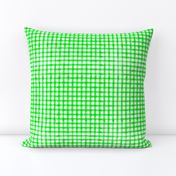 watermelon slices coordinate - green watercolor plaid