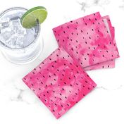 watermelon slices coordinate  - pink watercolor with seeds 