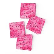 watermelon slices coordinate  - pink watercolor with seeds 