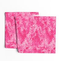 watermelon slices coordinate  - pink watercolor with seeds 