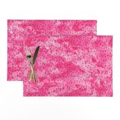 watermelon slices coordinate  - pink watercolor with seeds 