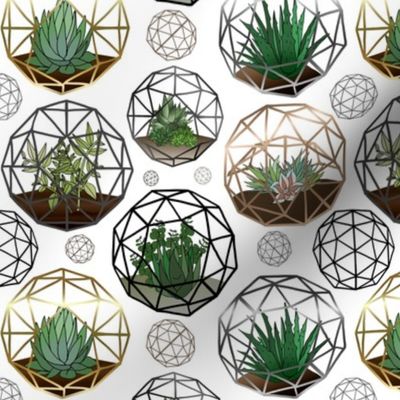 Geodesic Terrariums