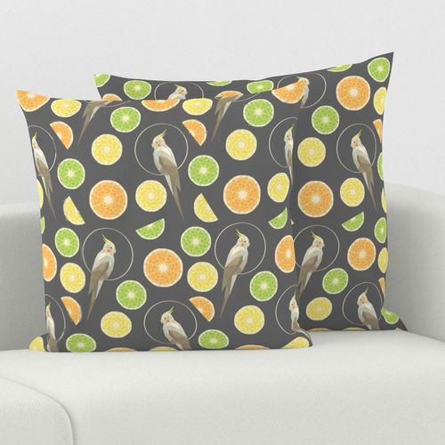 HOME_GOOD_SQUARE_THROW_PILLOW