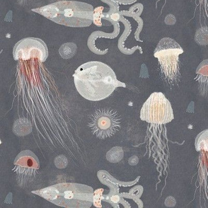 jellyfish of the deep