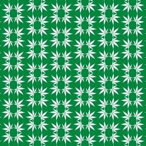 CannabisFoulard_Cannabis