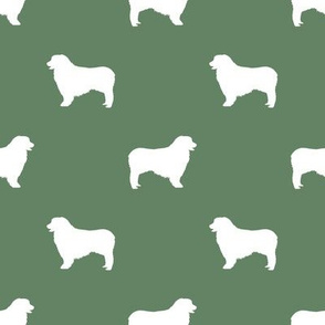 Australian Shepherd silhouette dog breeds med green