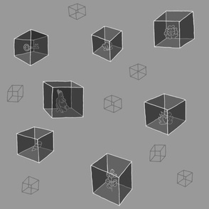 Things in Cubes (solids) (gray)