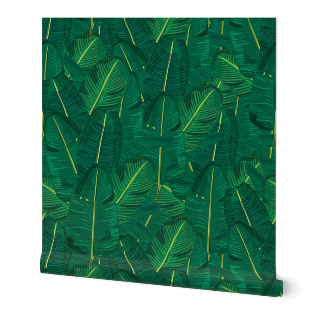 Banana Leaf Canopy