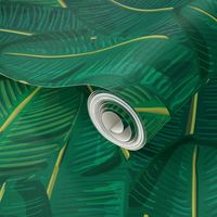 Banana Leaf Canopy