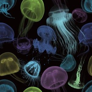 Electric Jellyfish in Black