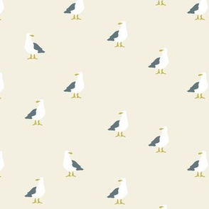 Seagulls in beige and grey