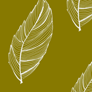 green and white feather leaf-ch