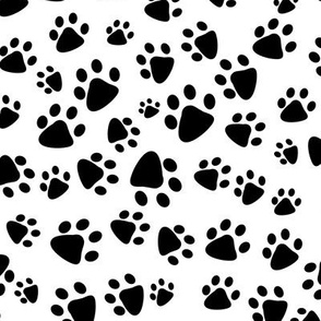 Cat and dog paw prints
