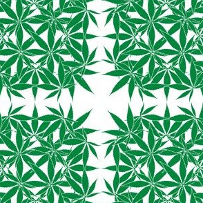 LeafSquare_Cannabis_wbgFilled