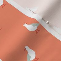 Seagulls in peach