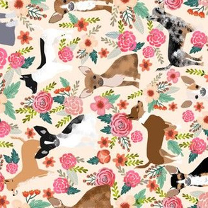 chihuahua floral fabric dogs cute pets fabric pet dog chihuahuas fabric