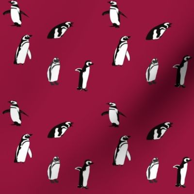 penguins_on_red