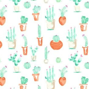 Watercolor Cactus Succulent Southwest Terra Cotta Pot_Miss Chiff Designs