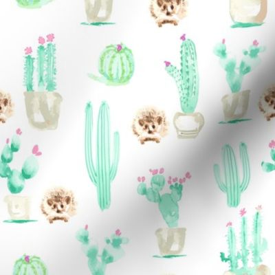 17-15H 8x8 Hedgehog Watercolor || Succulent Cactus Harry Forest Animal Mint Green Tan Taupe_Miss Chiff Designs