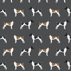 Rat Terrier dog fabric simple pattern 2