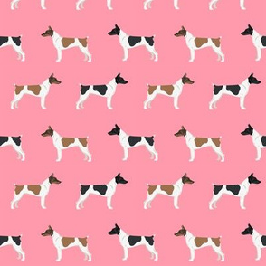 Rat Terrier dog fabric simple pattern 4