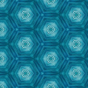 water hexagon