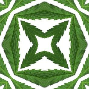 Cannabis-Pattern-06