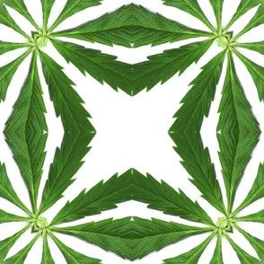 Cannabis-Pattern-07