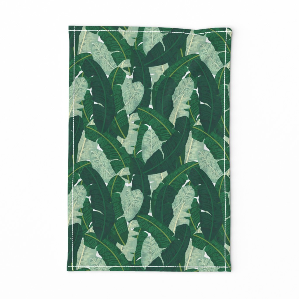 Classic Banana Leaves in Palm Springs Green