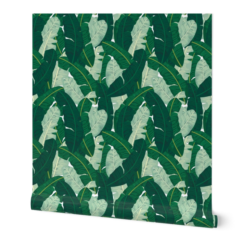 Classic Banana Leaves in Palm Springs Green