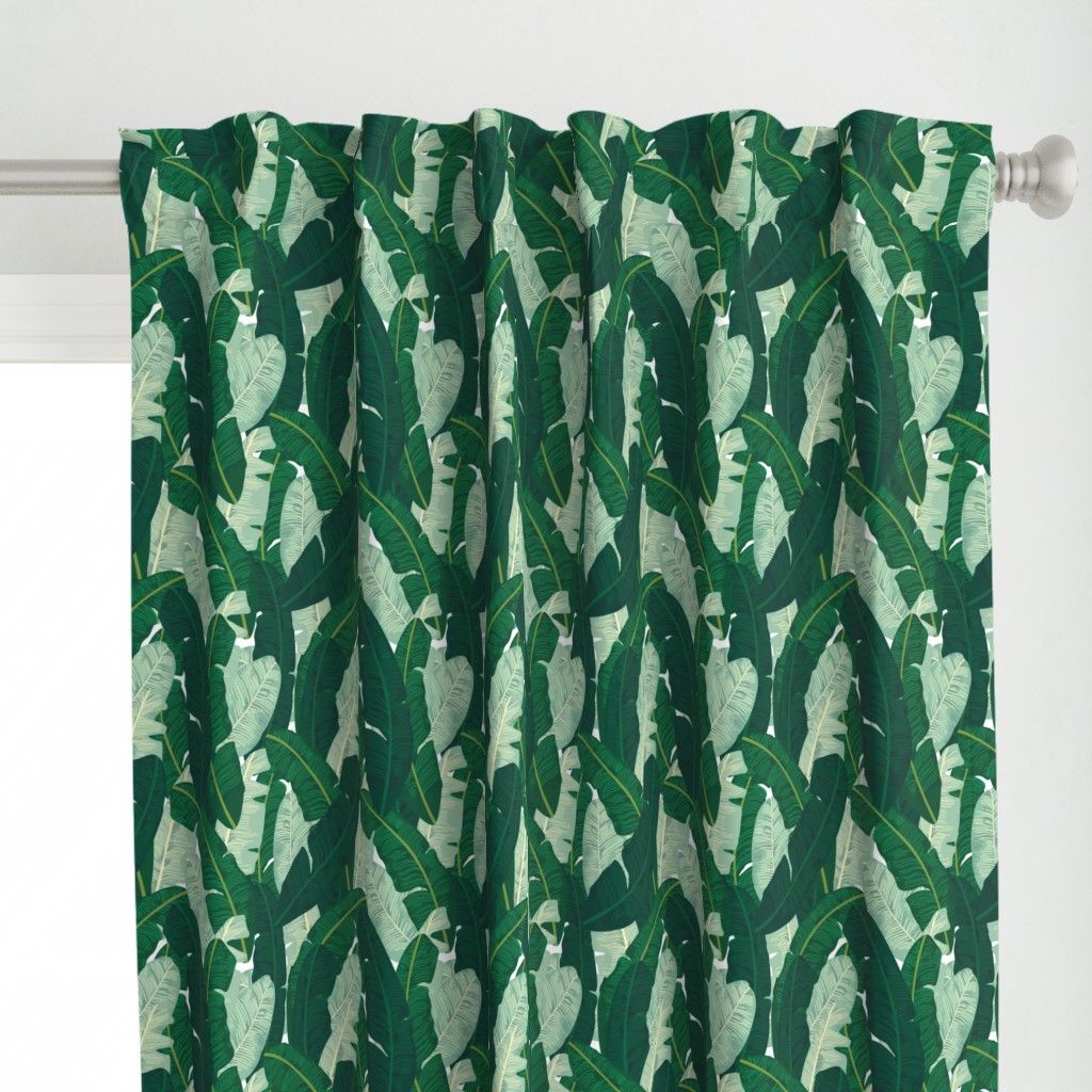 Classic Banana Leaves in Palm Springs Green