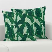 Classic Banana Leaves in Palm Springs Green