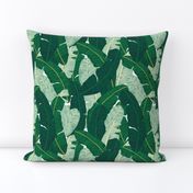 Classic Banana Leaves in Palm Springs Green