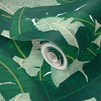 Classic Banana Leaves in Palm Springs Green