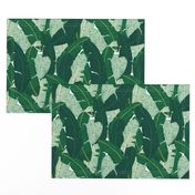 Classic Banana Leaves in Palm Springs Green