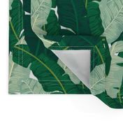 Classic Banana Leaves in Palm Springs Green