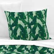 Classic Banana Leaves in Palm Springs Green